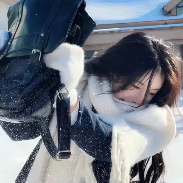我的天才女友第二季