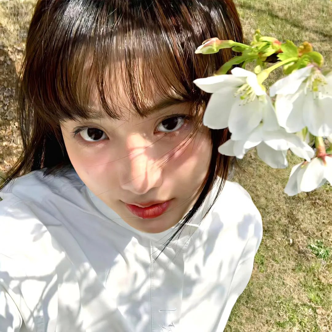 森林泰山2