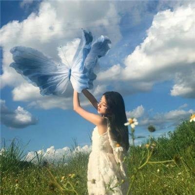 暗金烂狗6